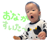 842264559