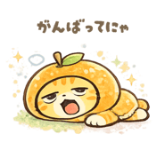 842264706