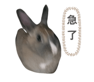 842274933