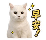842275380