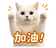 842275381