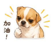 842276209