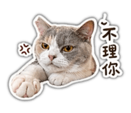 842276320