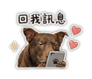842276357