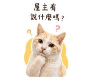 842276555