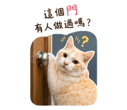 842276556