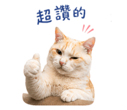 842276560
