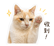 842276598