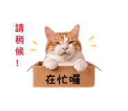 842276733