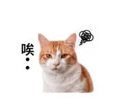 842276738