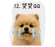 842276892