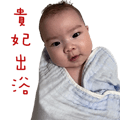 842276949