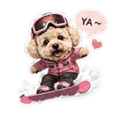 842277019