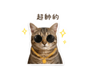 842277311
