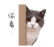 842277514