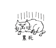 842278112