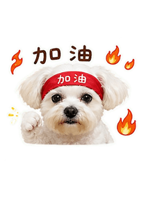 842278516