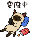 842280828