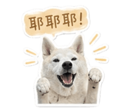842281370