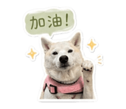 842281374