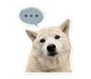 842281376