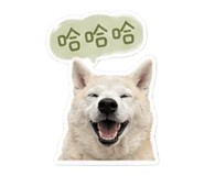 842281377