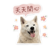842281381