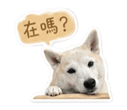 842281382