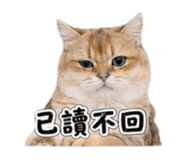 842281483