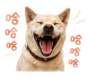 842282585