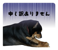 842282946
