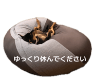 842282955