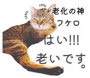 842283194