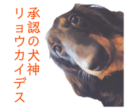 842283206