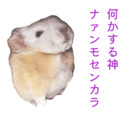 842283212