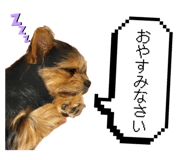 842283231