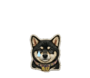 842283501