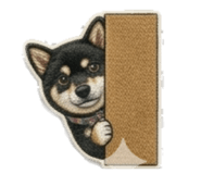 842283505
