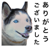 842283609