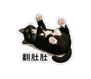 842284071