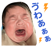 842284541