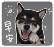 842284787