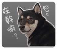 842284799