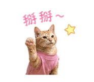 842284830