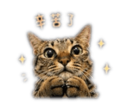 842285481
