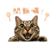 842285488