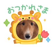 842285924