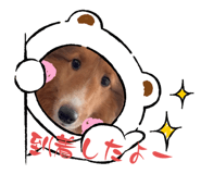 842285925