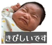 842286219