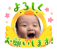 842286241